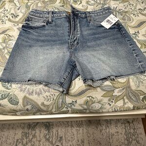 Denim Women's Shorts Size 2